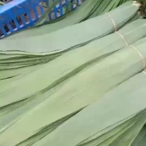 南方粽叶产地直销，产品包罗。联系我时请说在一亩田看见的
