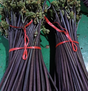 [蕨菜批发]大量出售苦蕨,甜蕨,需要的老板欢迎选购价格1.