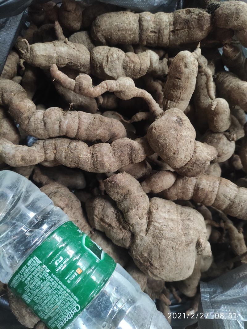 涨跌状态价格(元/斤)品种产地巴戟天产地热销150元/斤特大货规格快递