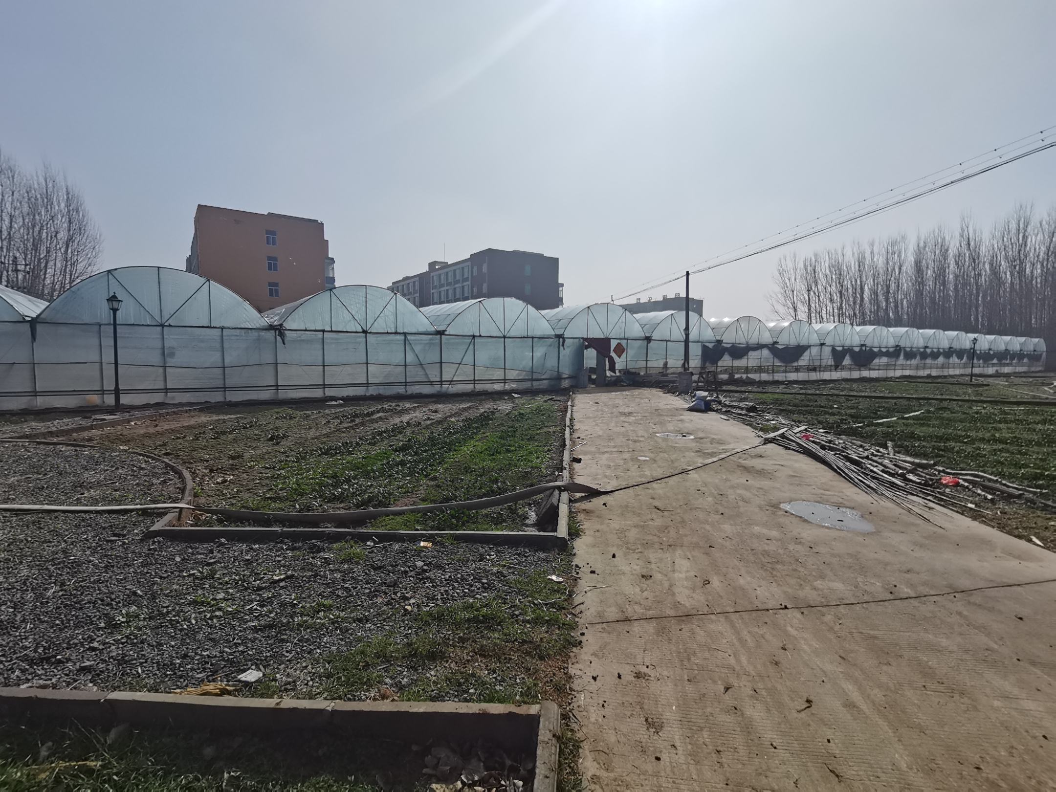 赤松茸种植基地选址图