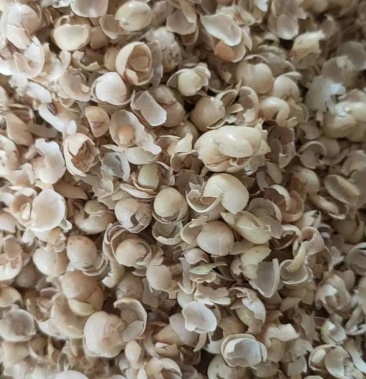 黄豆皮精选好货营养价值高富含蛋白质源头爆款东北黄豆