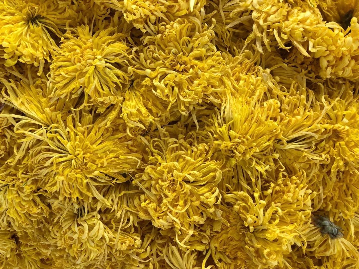 展示黄山贡菊与金丝皇菊的外观对比,左侧为黄山贡菊,右侧为金丝皇菊 黄山贡菊与金丝皇菊对比图