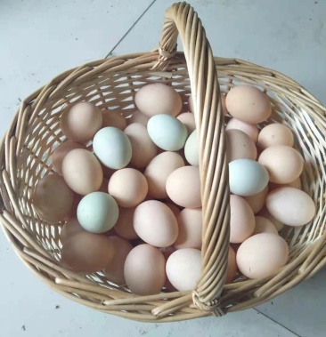 芦花鸡蛋新鲜,营养,口感俱佳.可定制各种包装