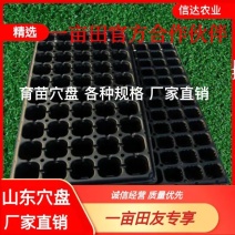 优质育苗穴盘瓜果蔬菜林木穴盘厂家直销规格型号应有尽有