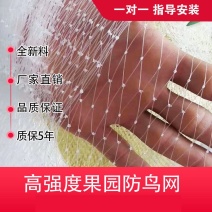 果园防鸟网鱼塘防护网葡萄天网果树防鸟网池塘防护网厂家直销