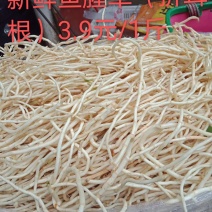 鱼腥草（折耳根）支持大量批发