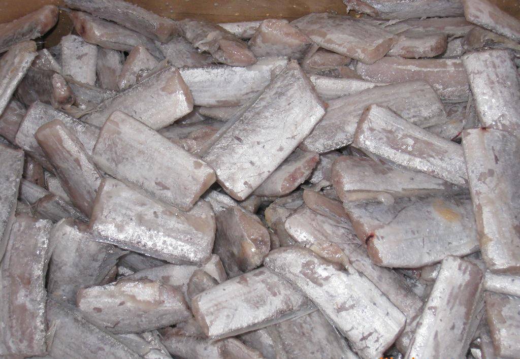 带鱼产品展示图