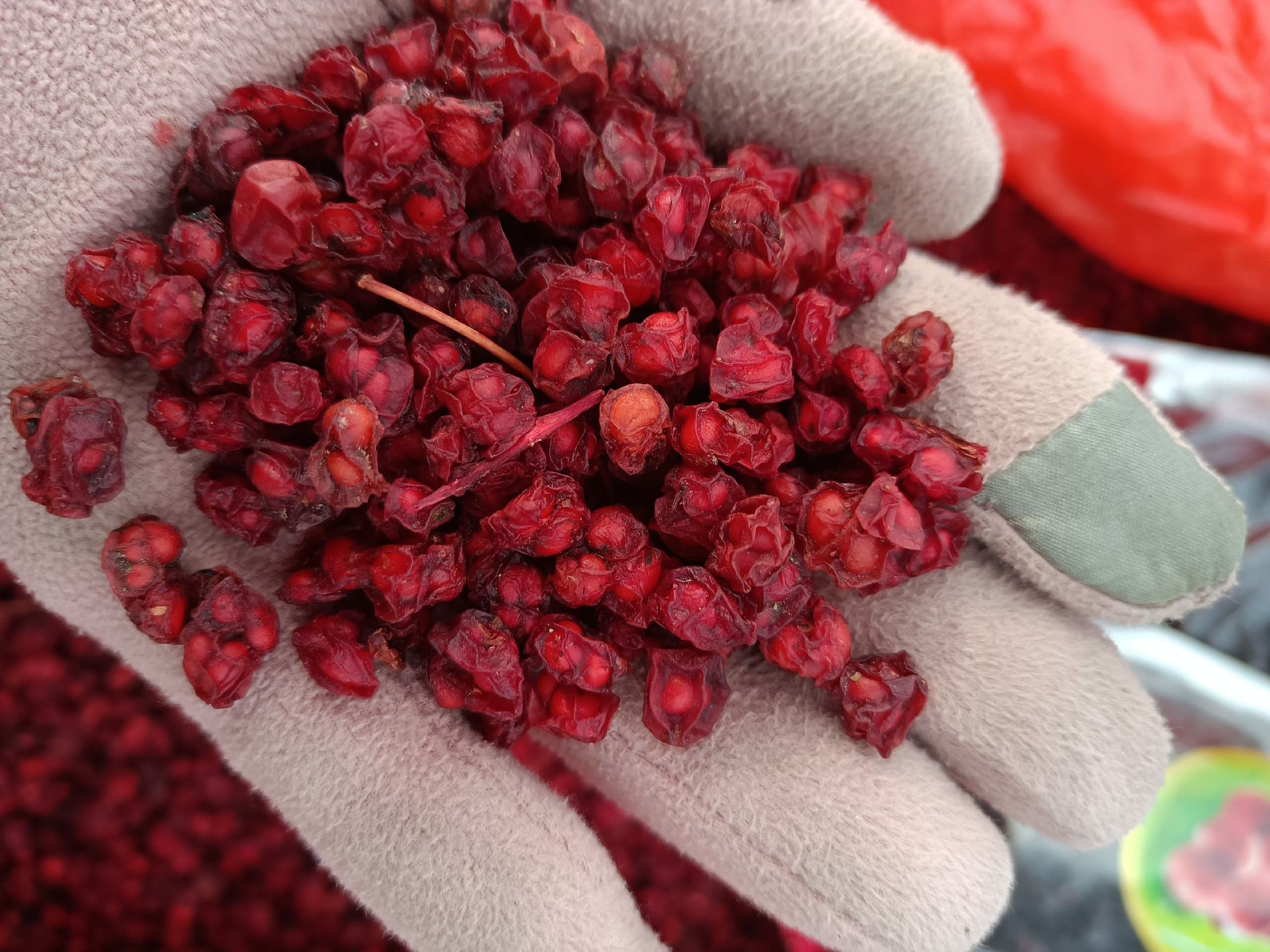 北五味子泡水图