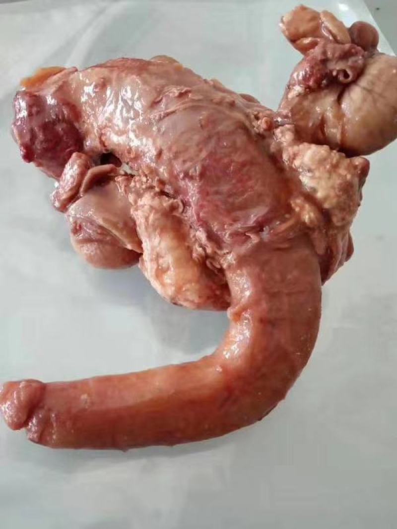 新鲜驴鞭马鞭持续有货检疫安全生鞭熟鞭干鞭冻鞭