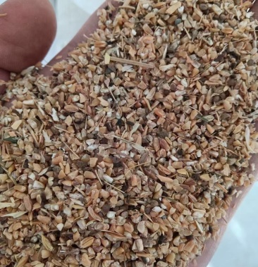 常年供应碎玉米碎小麦开胃宝各种鸡鸭鹅养殖下脚料