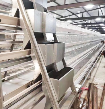 阶梯式上料机源头厂家全自动设备蛋鸡育雏大型养殖场专用