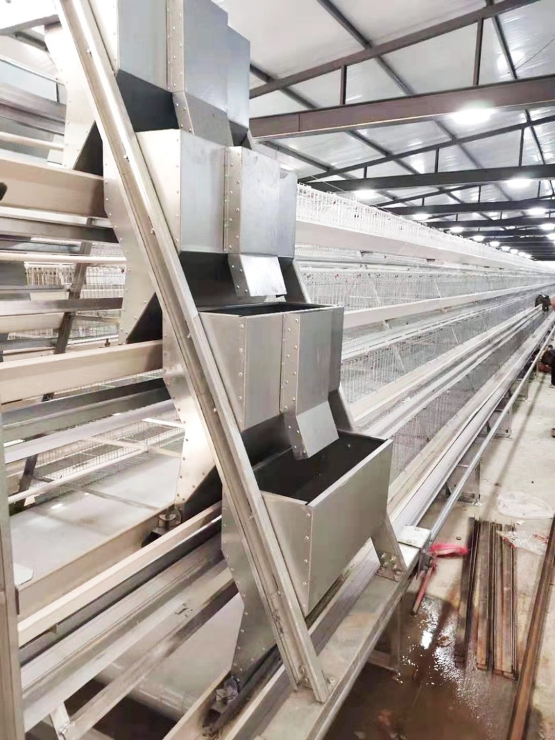 阶梯式上料机,源头厂家,全自动设备蛋鸡育雏大型养殖场专用