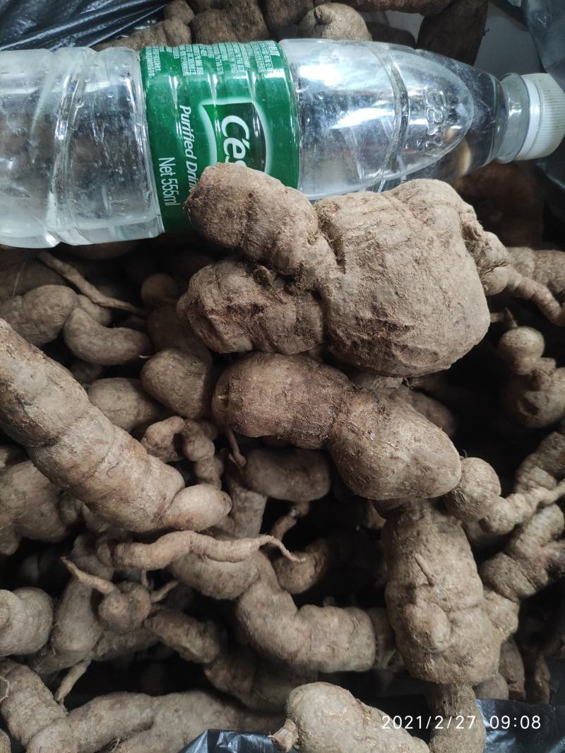 涨跌状态价格(元/斤)品种产地巴戟天产地热销150元/斤特大货规格快递