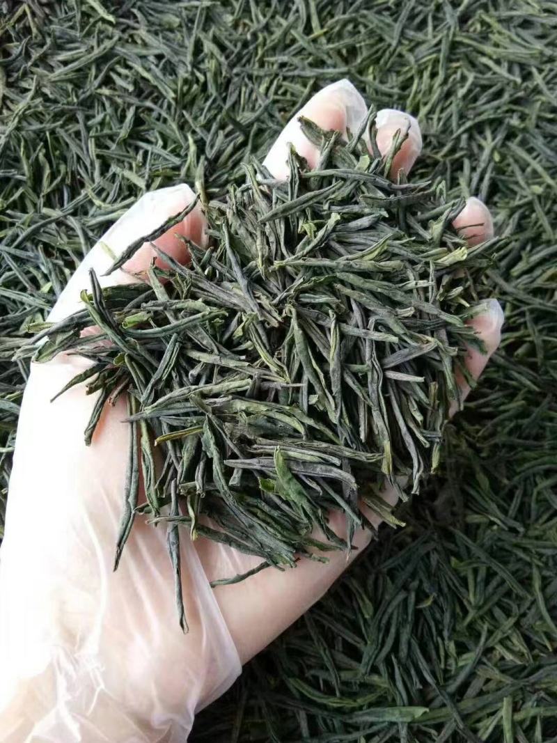 霍山黄芽批发
