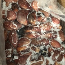 常年精营：驴肉马肉驴板肠马板肠驴肚驴蹄筋