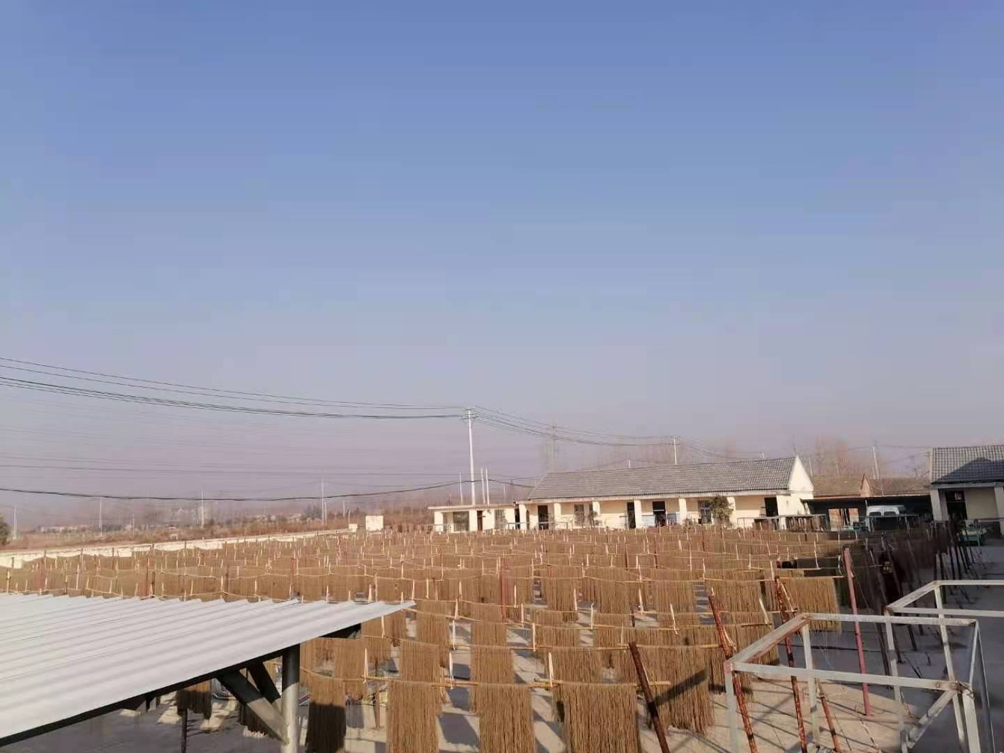 纪实摄影:北方传统红薯粉条晾晒现场,展现物理工艺全过程,无化学添加剂,突出‘纯淀粉’本质——透明粉条与原始红薯的营养断层在此具象化 传统手工红薯粉条制作场景:农民在冬日阳光下将刚拉制的湿粉条悬挂在竹架上自然风干,粉条呈半透明琥珀色,表面有细微淀粉结晶,背景为黄土墙与木制粉坊门框
