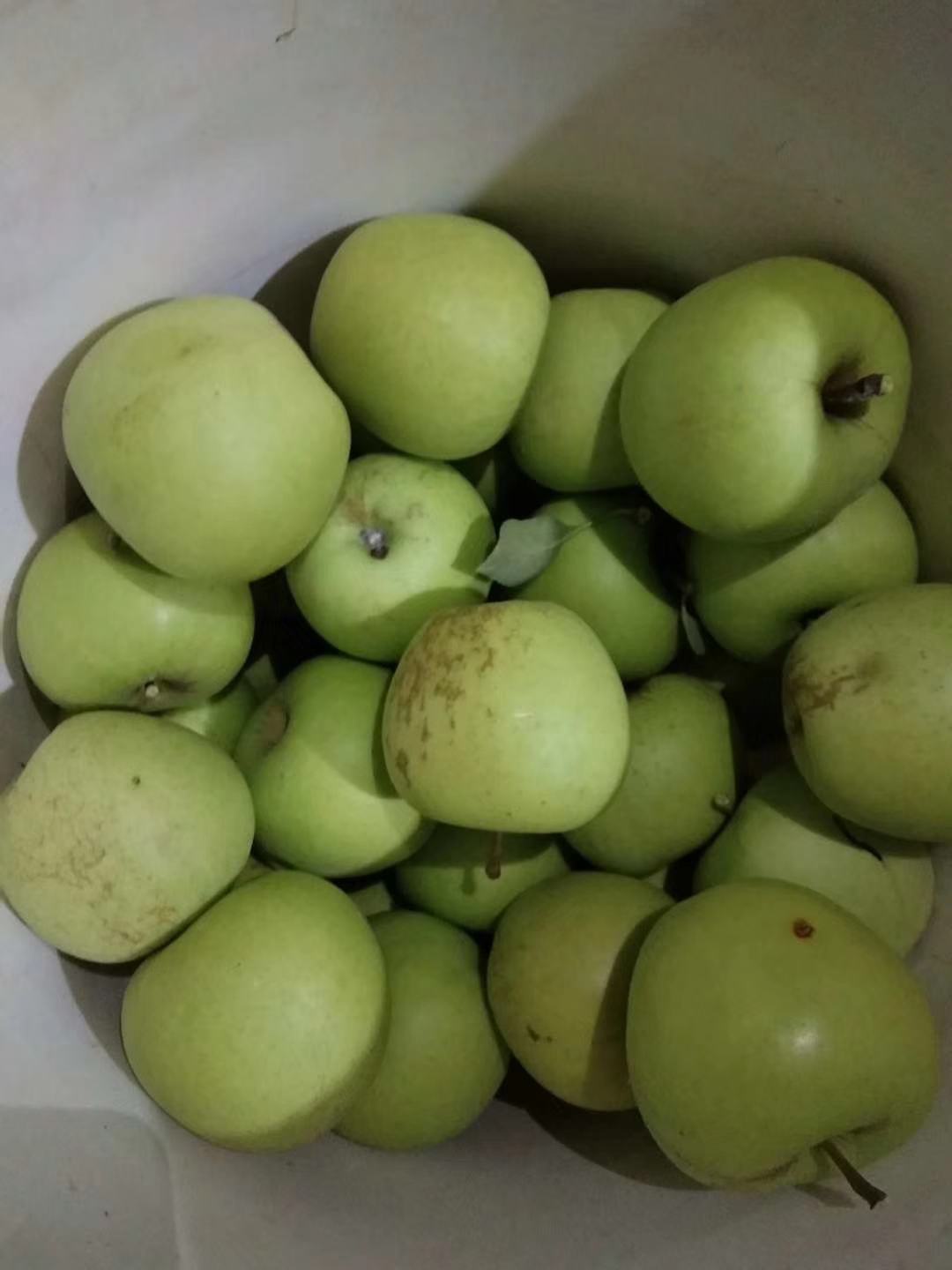 [苹果批发]昭通丑果冰糖心 苹果价格0.80元/斤 - 一亩田