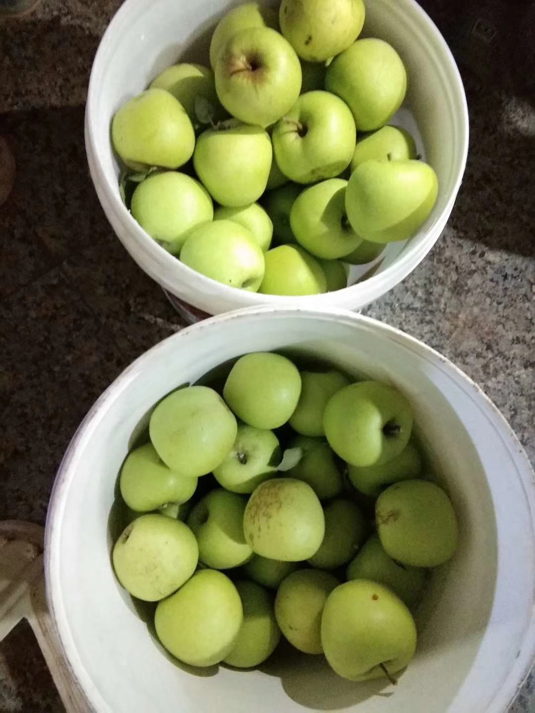 [苹果批发]昭通丑果冰糖心 苹果价格0.80元/斤 - 一亩田