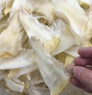 鱼翅小青片46寸头