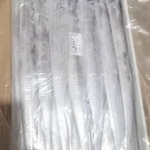 进口A级刀鱼规格齐全欢迎选购