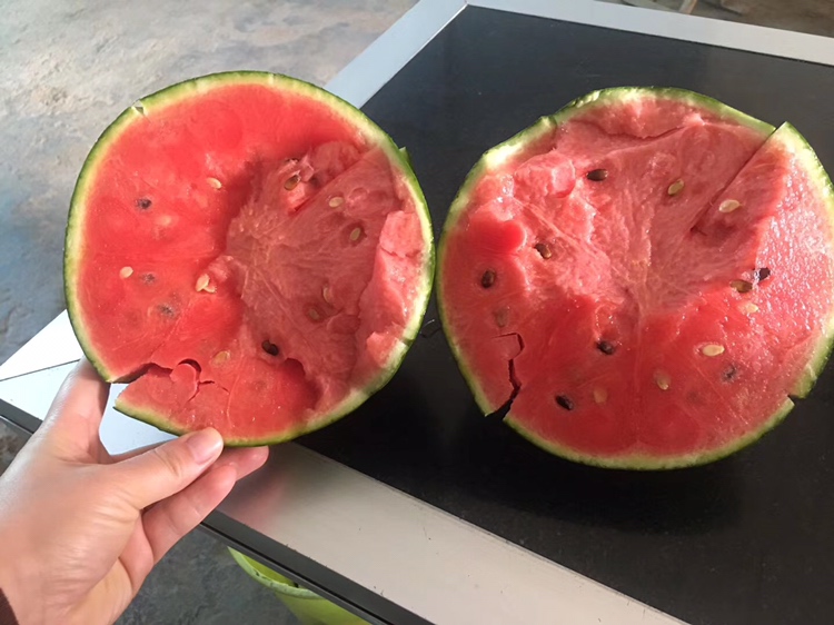 成熟的早春红玉西瓜切面特写
