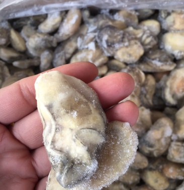 单冻生蚝肉鲜生蚝肉一件20斤装全国代发货