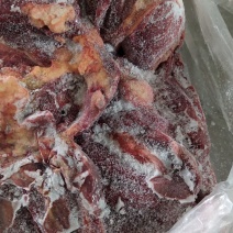 蒙古马肉新日期大量出货