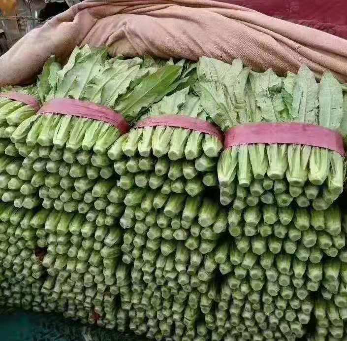 油麦菜焯水过程