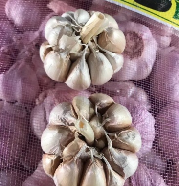 aaa级瓣瓣蒜,一件40斤,蒜瓣瓣大,颗粒饱满