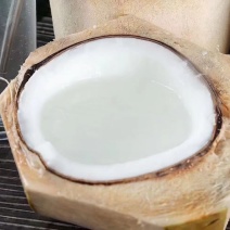 泰国香水椰青，椰皇，泰国直发，欢迎量大询价
