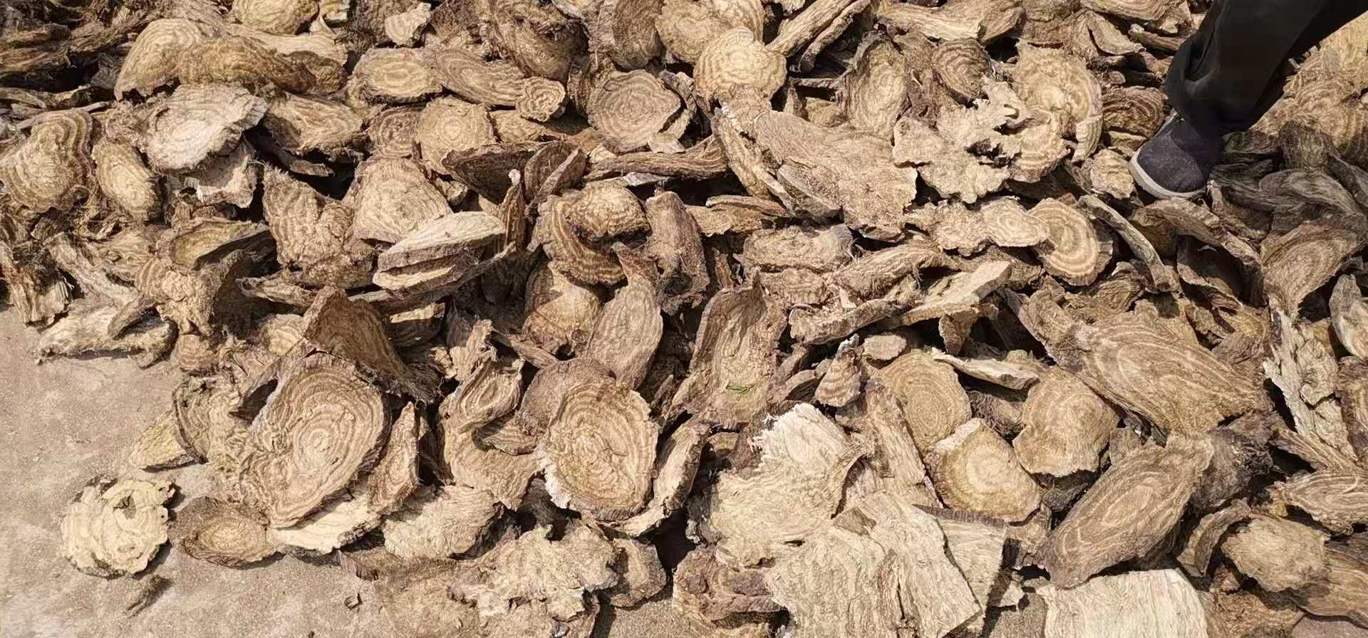 道地野葛根饮片实物图:符合《中国药典》性状标准,片厚2-3mm,无霉变、无硫熏,断面显粉性与纤维性交织结构 野葛根饮片特写:淡黄棕色切片,表面有纵皱纹与横向皮孔,断面纤维性强,呈粉性,可见明显环状形成层纹