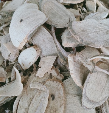 紫藤根,中药材紫藤根质量保证,经营各种中药材欢迎咨询合作