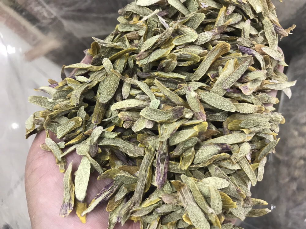 贝母类中药材对比图
