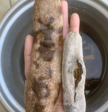 [海参批发]5-8头大赤虎皮海参价格315.00元/斤 - 一亩田