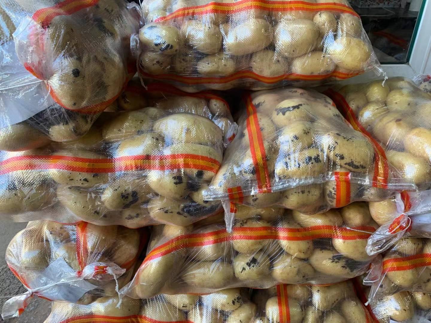 超市货架上的土豆A3926精品包装展示