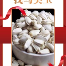 红花籽直供新疆红花籽，大宗供应，营养榨油，鸽粮优选