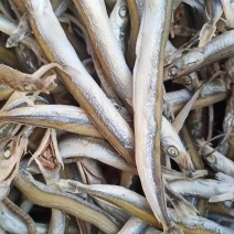 银针鱼，煎，炸，一箱净重，8.5斤左右，一手货源。