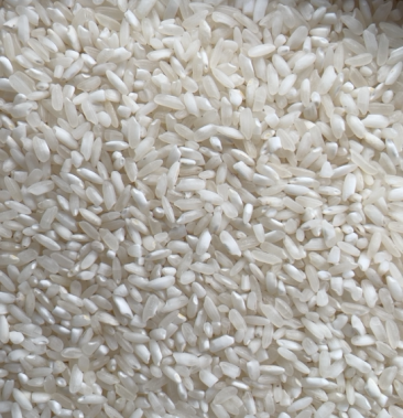 2020年杂交米食堂米炒饭米厂家直销