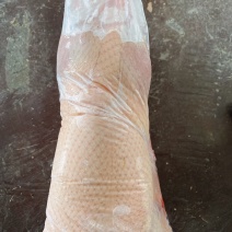 二级白条鸭一级白条鸭1100.