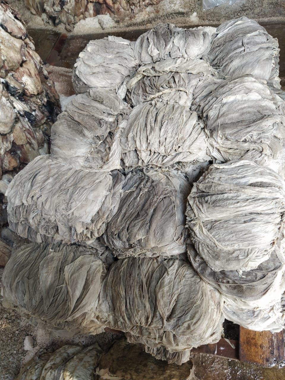 盐毛肚,俄罗斯a a  b c货大量的货.