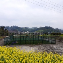 大型乡村运动文旅小镇寻求合作转让