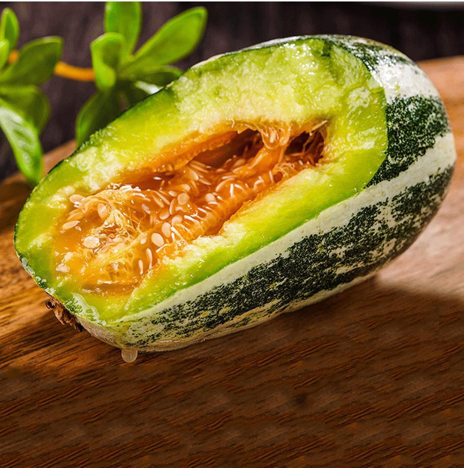 [甜瓜批发]山东莘县 博洋9号 万亩甜瓜产地直供 诚邀批发商电商价格4.