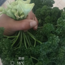 法香，基地直供，没有中间商。