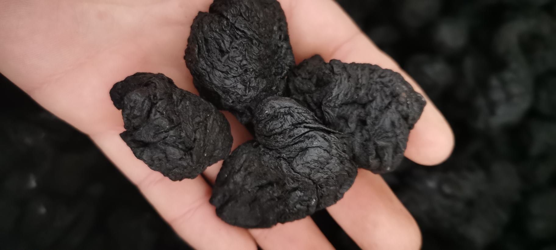 熟地黄药材特写