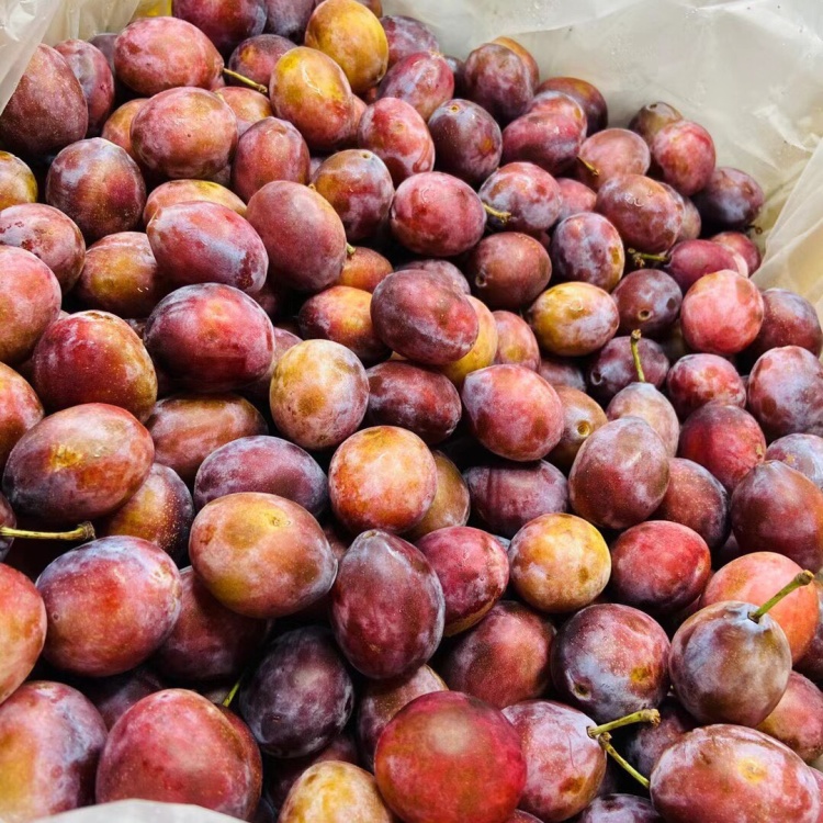 【一件代发】澳洲空运黄蝙蝠西梅口感醇甜 香味浓郁