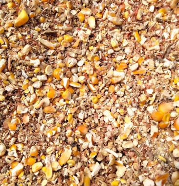 碎玉米 玉米下脚料 畜牧养殖