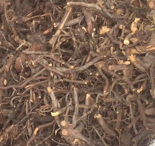 [茅莓批发]三月泡根 刺波 茅梅根 茅莓根 红梅消根 蛇泡筋价格17.