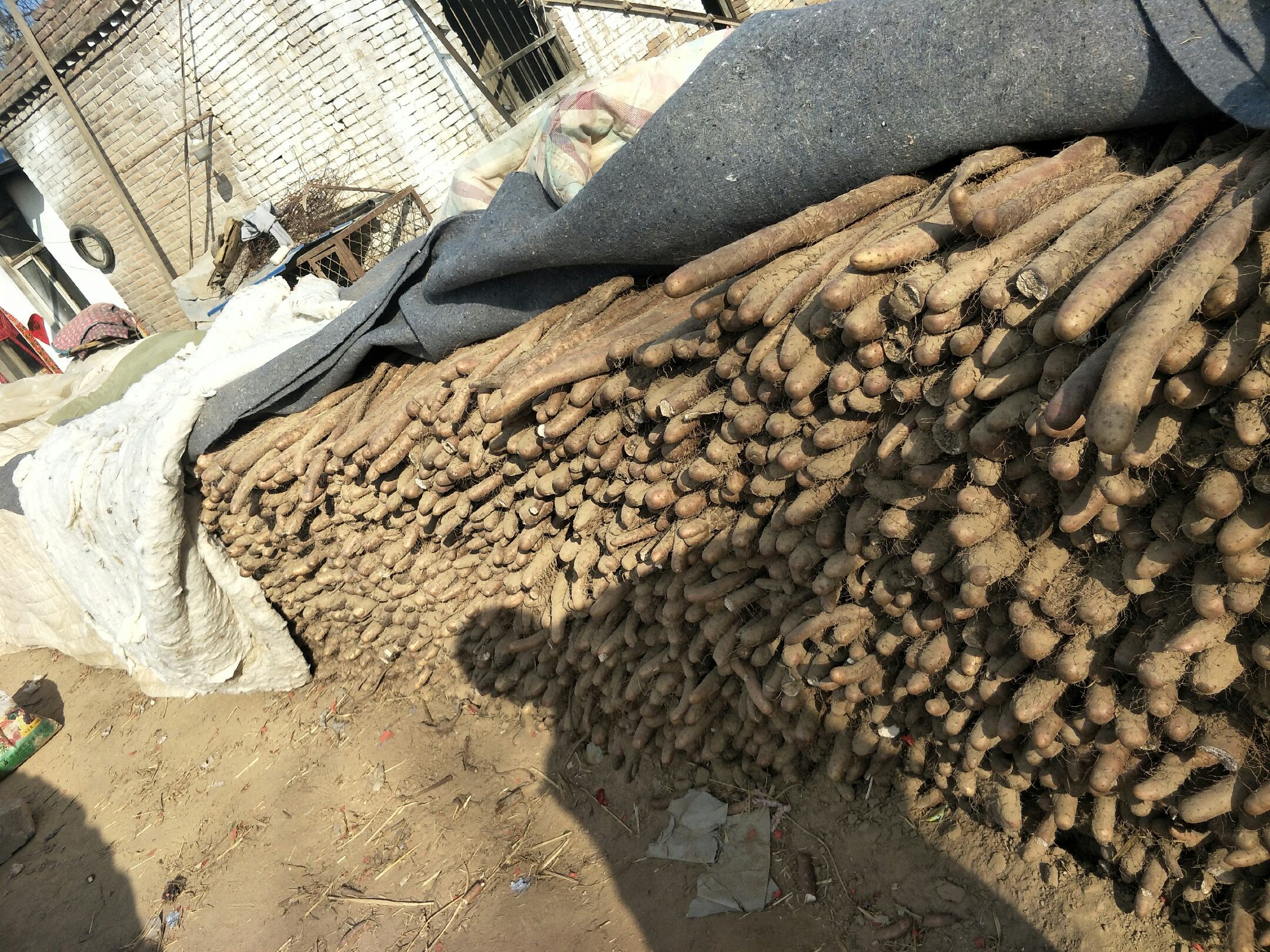 红薯烹饪过程示意图