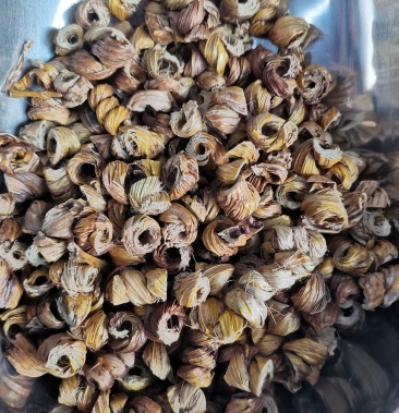 中药材马鞭石斛枫斗 流苏石斛 野生规格齐全