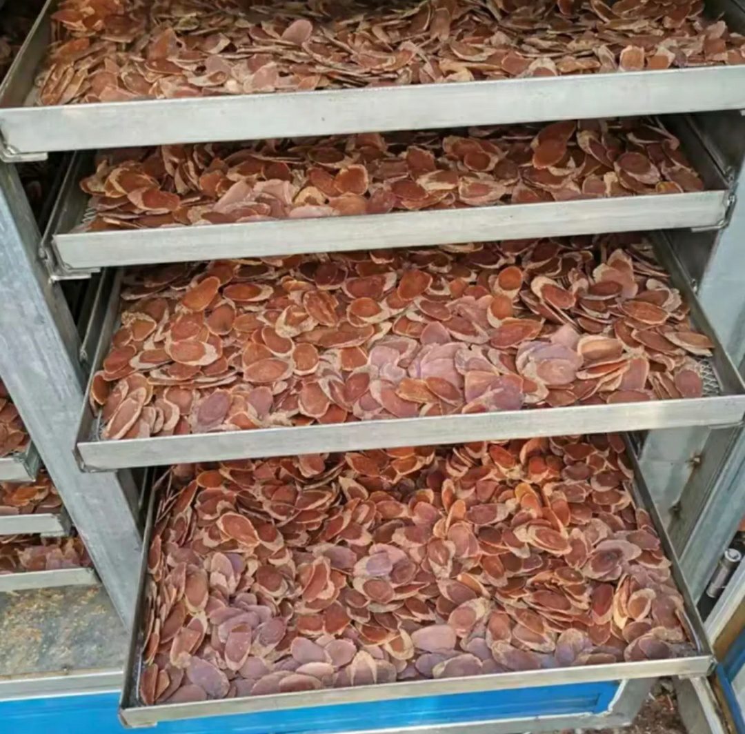 人参切片均匀铺放在晾晒架上,通风良好,避免阳光直射 晾晒架上的人参切片